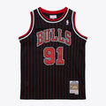 Dennis Rodman Chicago Bulls Youth 1995/ 96 Swingman Jersey - Black | Mitchell & Ness NBA Fan Gear