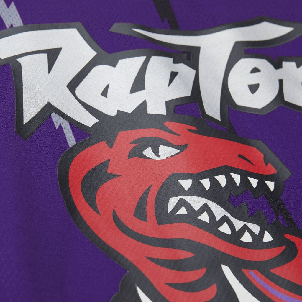 Vince Carter Toronto Raptors Mitchell & Ness Unisex Maxxed Out Fashion Hockey Jersey - Purple | NBA Fan Gear