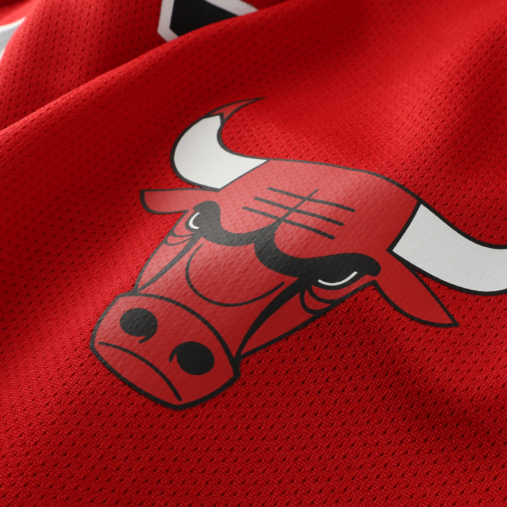 Dennis Rodman Chicago Bulls Mitchell & Ness Big & Tall NBA Hockey Jersey - Red | Fan Gear