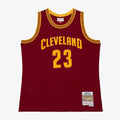 LeBron James Cleveland Cavaliers Mitchell & Ness 2015-16 Swingman Jersey - Wine | NBA Fan Gear