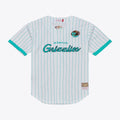 Memphis Grizzlies Mitchell & Ness Head Coach Pinstripe Mesh Full-Button Baseball Jersey - White | NBA Fan Gear