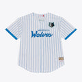 Minnesota Timberwolves Mitchell & Ness Head Coach Pinstripe Mesh Full-Button Baseball Jersey - White | NBA Fan Gear