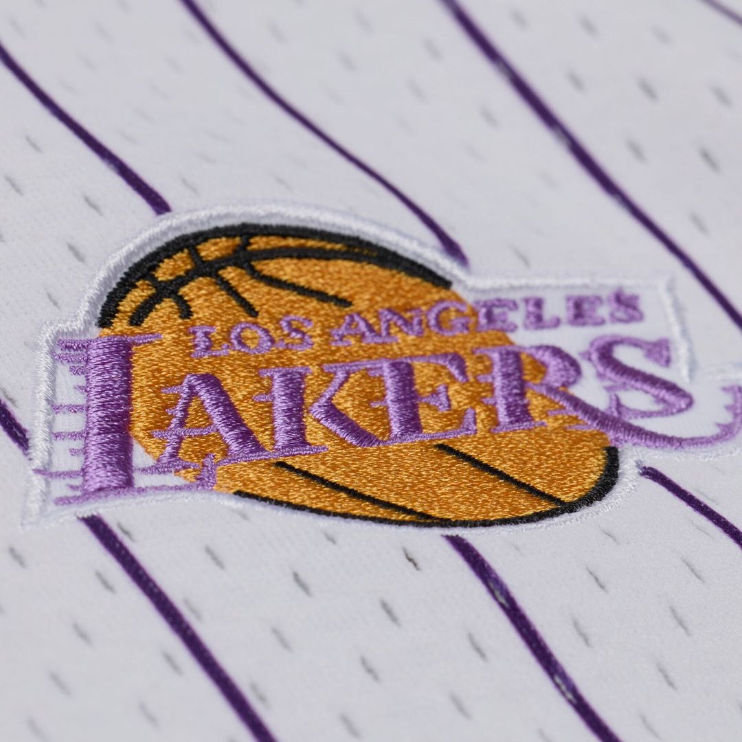 Los Angeles Lakers Mitchell & Ness Head Coach Pinstripe Mesh Full-Button Baseball Jersey - White | NBA Fan Gear