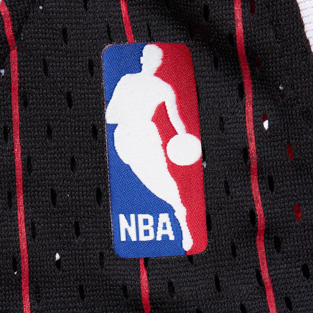 Dennis Rodman Chicago Bulls Youth 1995/ 96 Swingman Jersey - Black | Mitchell & Ness NBA Fan Gear