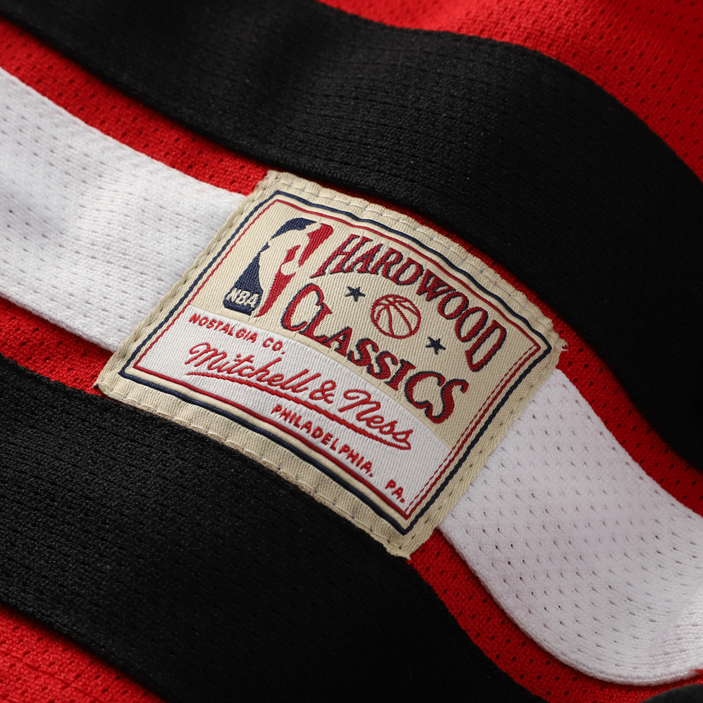 Dennis Rodman Chicago Bulls Mitchell & Ness Big & Tall NBA Hockey Jersey - Red | Fan Gear
