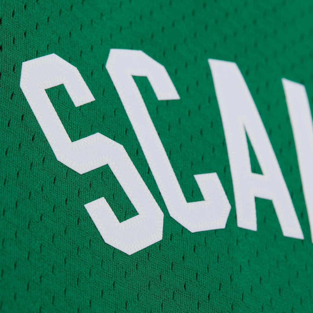 Brian Scalabrine Boston Celtics Mitchell & Ness 2007/ 08 Hardwood Classics Swingman Jersey - Kelly Green | NBA Fan Gear